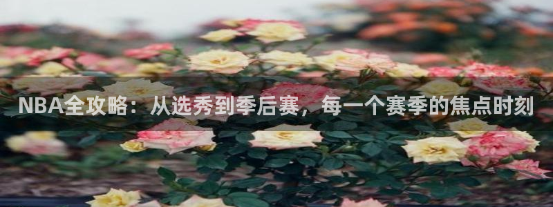 上海杏悦汽车电子有限公司