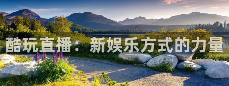 杏悦3官网